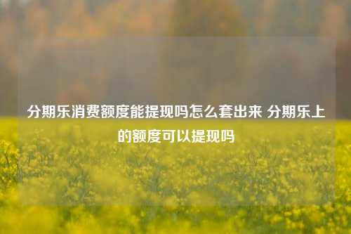 分期乐消费额度能提现吗怎么套出来 分期乐上的额度可以提现吗