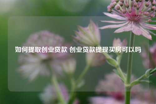 如何提取创业贷款 创业贷款提现买房可以吗