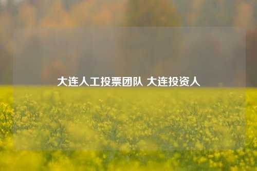 大连人工投票团队 大连投资人