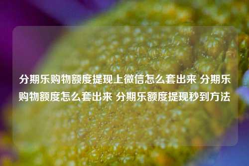 分期乐购物额度提现上微信怎么套出来 分期乐购物额度怎么套出来 分期乐额度提现秒到方法