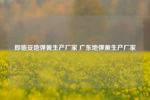 即施妥地弹簧生产厂家 广东地弹簧生产厂家