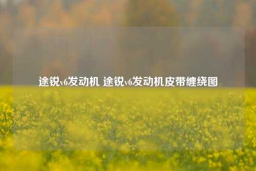 途锐v6发动机 途锐v6发动机皮带缠绕图