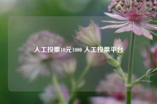 人工投票10元1000 人工投票平台