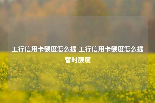 工行信用卡额度怎么提 工行信用卡额度怎么提暂时额度