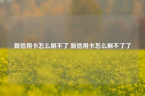 新信用卡怎么刷不了 新信用卡怎么刷不了了