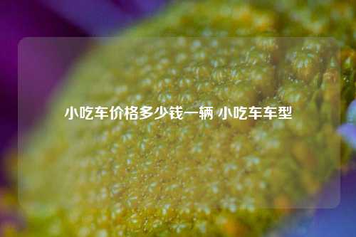 小吃车价格多少钱一辆 小吃车车型