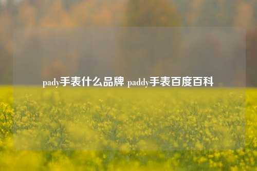 pady手表什么品牌 paddy手表百度百科