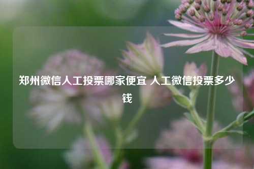 郑州微信人工投票哪家便宜 人工微信投票多少钱