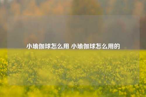 小瑜伽球怎么用 小瑜伽球怎么用的