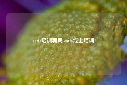 catia培训骗局 catia线上培训