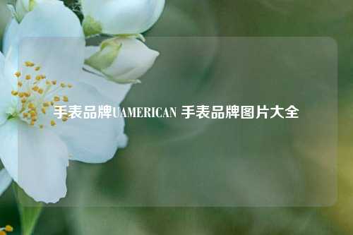 手表品牌UAMERICAN 手表品牌图片大全