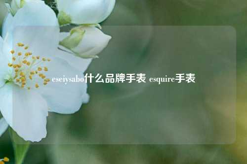 eseiysabo什么品牌手表 esquire手表