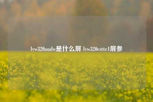 lvw320audw是什么屏 lvw320cstte1屏参