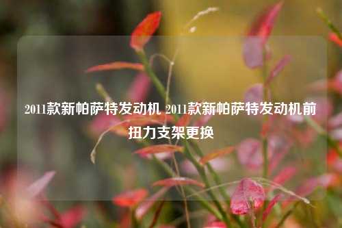 2011款新帕萨特发动机 2011款新帕萨特发动机前扭力支架更换