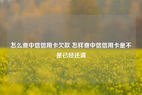 怎么查中信信用卡欠款 怎样查中信信用卡是不是已经还清