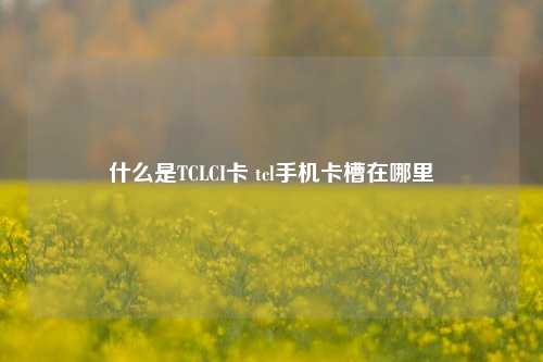 什么是TCLCI卡 tcl手机卡槽在哪里