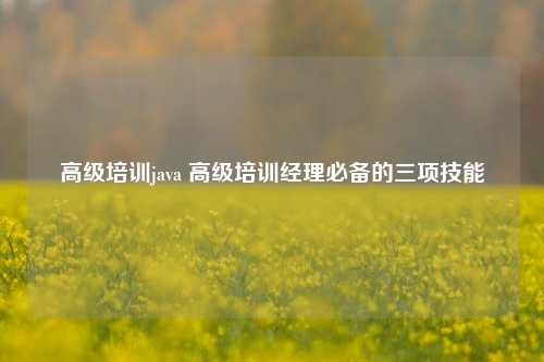 高级培训java 高级培训经理必备的三项技能