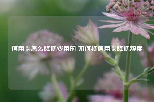 信用卡怎么降低费用的 如何将信用卡降低额度