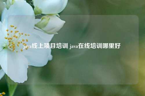 java线上项目培训 java在线培训哪里好