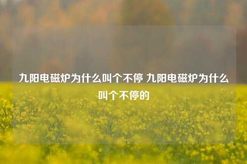 九阳电磁炉为什么叫个不停 九阳电磁炉为什么叫个不停的