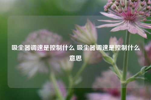 吸尘器调速是控制什么 吸尘器调速是控制什么意思