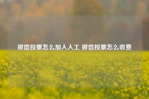 微信投票怎么加入人工 微信投票怎么收费