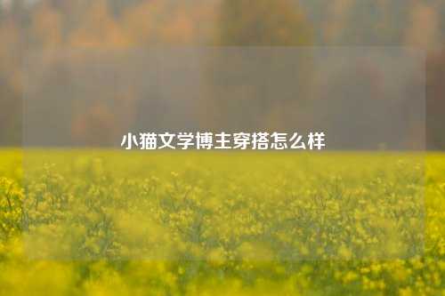 小猫文学博主穿搭怎么样