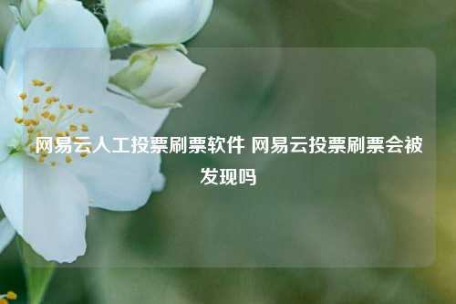 网易云人工投票刷票软件 网易云投票刷票会被发现吗