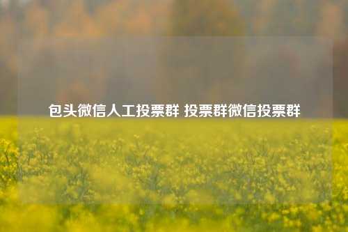 包头微信人工投票群 投票群微信投票群