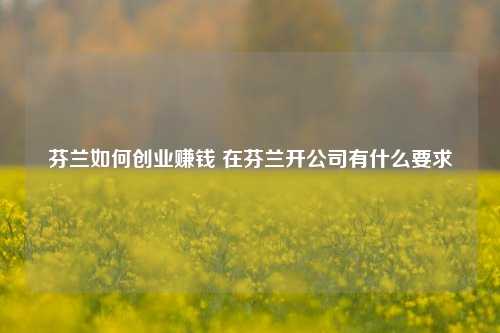 芬兰如何创业赚钱 在芬兰开公司有什么要求