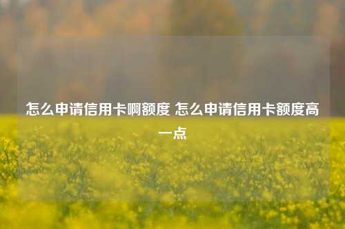 怎么申请信用卡啊额度 怎么申请信用卡额度高一点