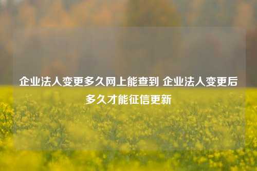 企业法人变更多久网上能查到 企业法人变更后多久才能征信更新