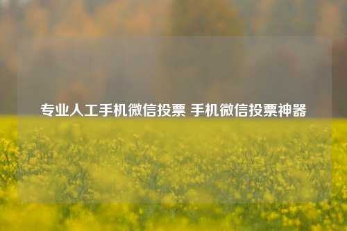 专业人工手机微信投票 手机微信投票神器