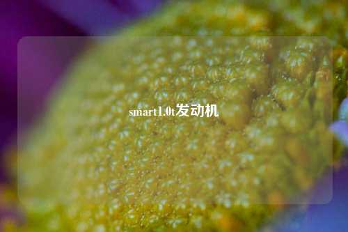 smart1.0t发动机