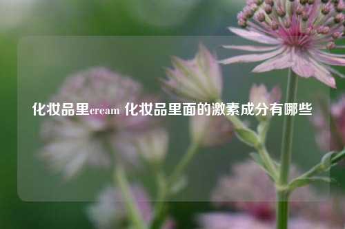 化妆品里cream 化妆品里面的激素成分有哪些