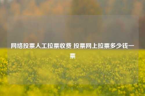 网络投票人工拉票收费 投票网上拉票多少钱一票