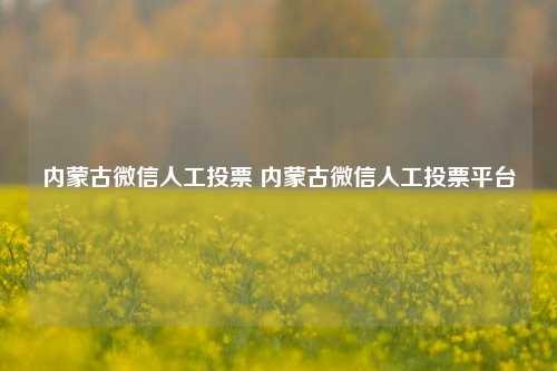 内蒙古微信人工投票 内蒙古微信人工投票平台