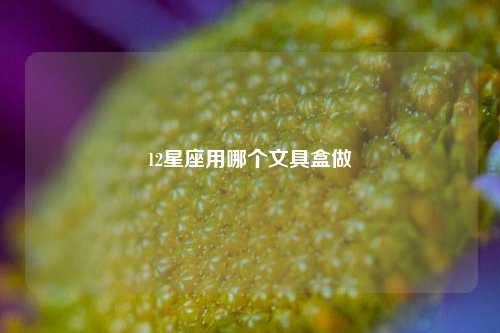 12星座用哪个文具盒做