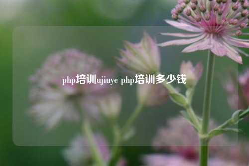 php培训ujiuye php培训多少钱