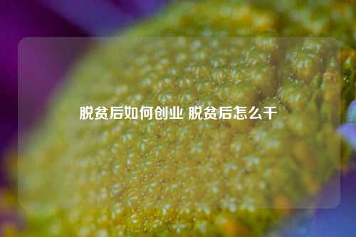 脱贫后如何创业 脱贫后怎么干