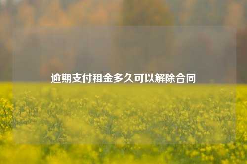 逾期支付租金多久可以解除合同