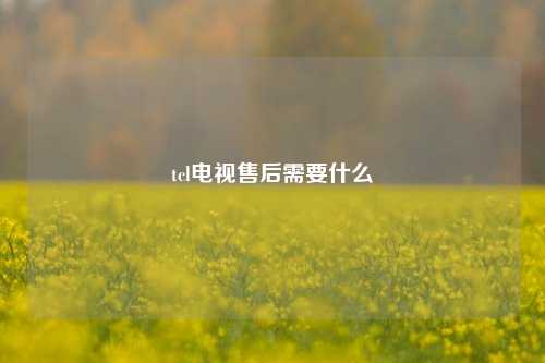 tcl电视售后需要什么