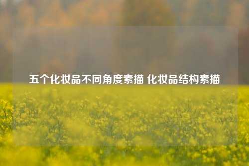 五个化妆品不同角度素描 化妆品结构素描