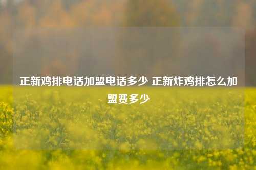 正新鸡排电话加盟电话多少 正新炸鸡排怎么加盟费多少