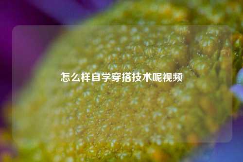 怎么样自学穿搭技术呢视频