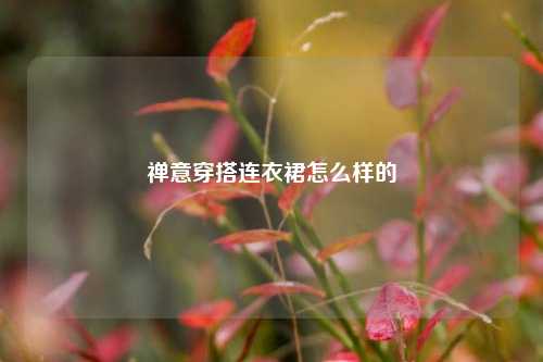 禅意穿搭连衣裙怎么样的