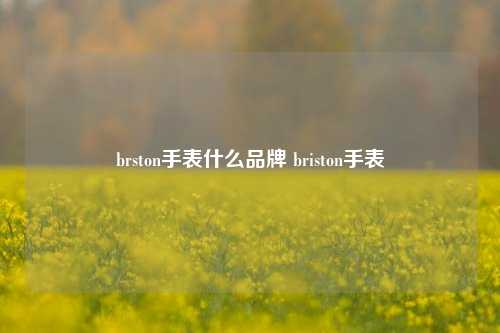 brston手表什么品牌 briston手表