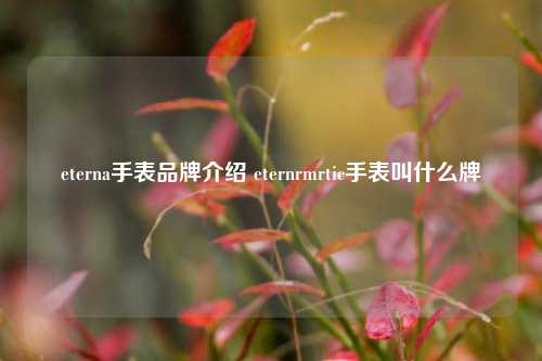 eterna手表品牌介绍 eternrmrtic手表叫什么牌