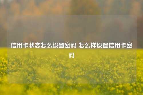 信用卡状态怎么设置密码 怎么样设置信用卡密码