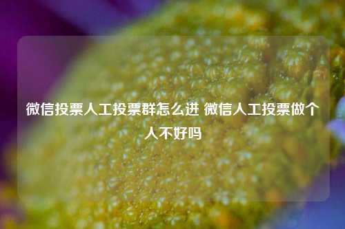 微信投票人工投票群怎么进 微信人工投票做个人不好吗